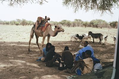Mali pastoralists, Aioun, Mauritania, May 2004